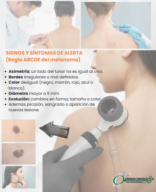 imagen (1)